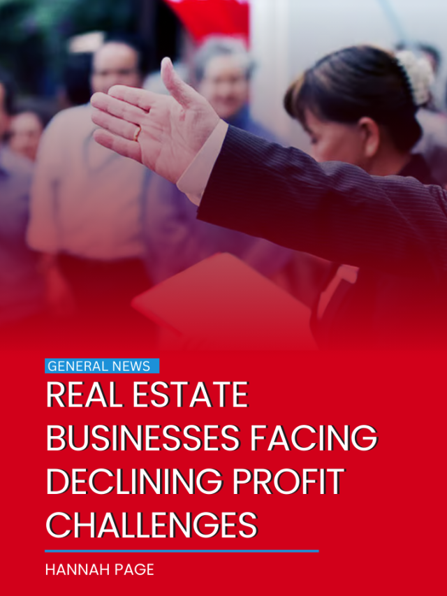 Real estate businesses facing declining profit challenges