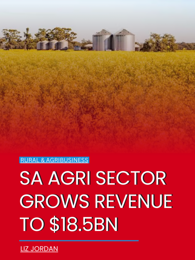 SA agri sector grows revenue to $18.5bn